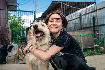 Dog at the shelter. Animal shelter volunteer takes care of dogs.