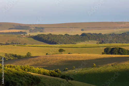 Looking out over a rolling South Downs landscape on a summers evening © lemanieh