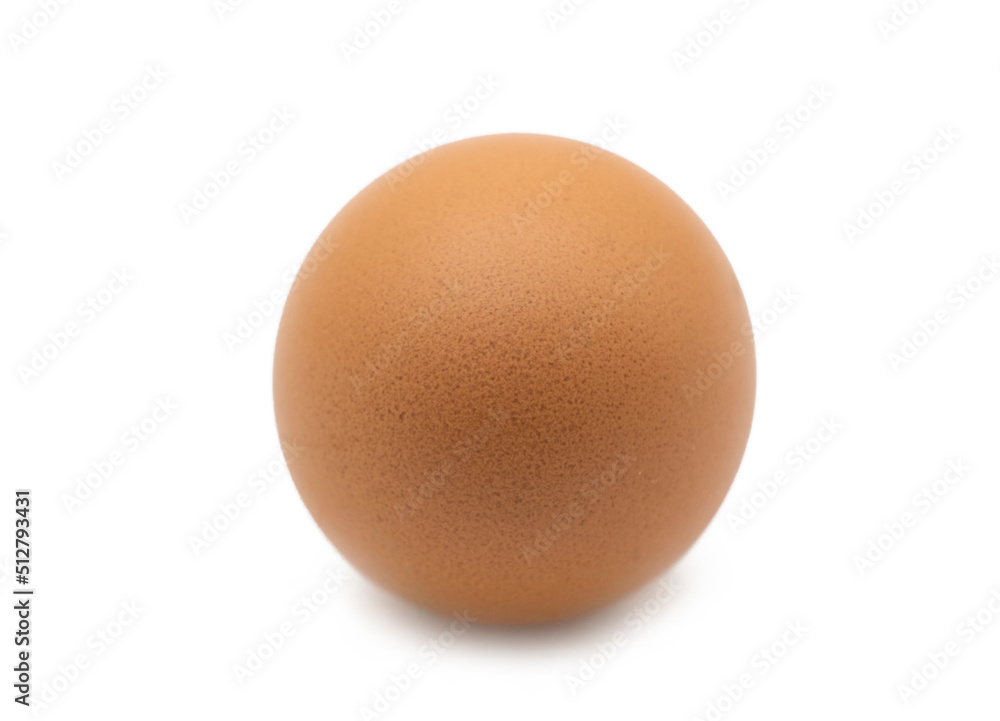 single chicken egg isolated on white background single chicken egg isolated on white background