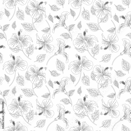 Summer flower seamless pattern. Tropical flowers linear monochrome background. Hibiscus flower with leaves realistic repeatable backdrop.