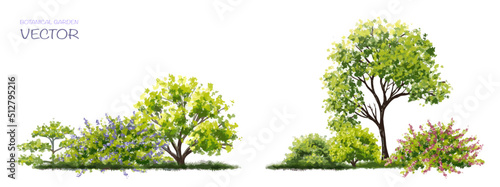 Vector watercolor blooming flower tree or forest side view isolated on white background for landscape and architecture drawing,elements for environment or and garden,botanical element for section 