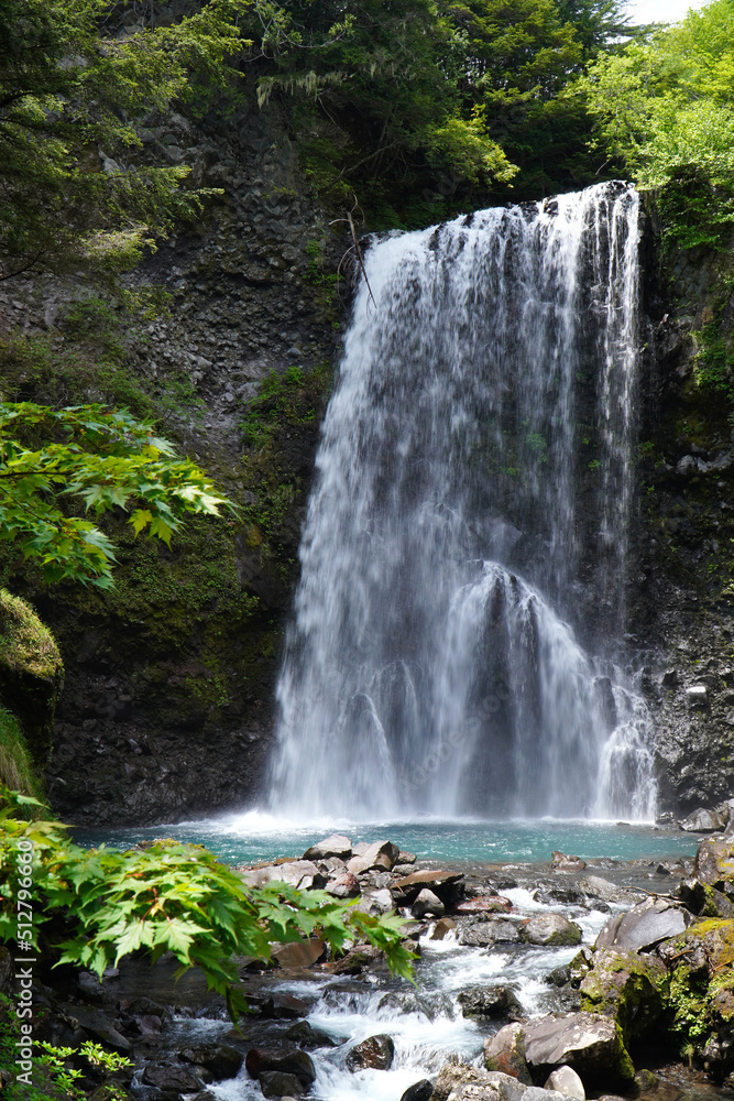 Obraz premium 初夏の善五郎の滝