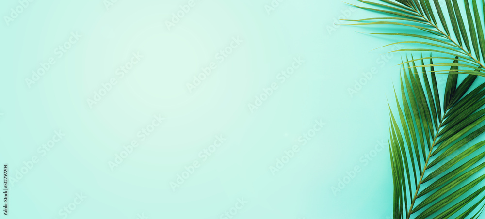 Fototapeta premium Image of tropical green palm over blue pastel background