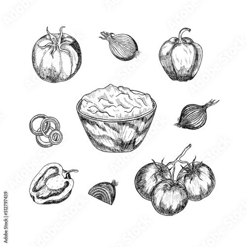 A bowl for sauce and seasoning with a hand-drawn sketch of the ingredient. Mayonnaise, ketchup, bechamel,food seasoning in ink engraved menu set vector illustration isolated on white background