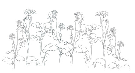 Fototapete Eine Linie Abstrakte Blume botanische Linienzeichnung  © FireFLYart
