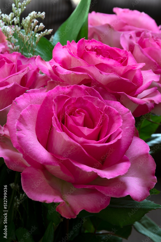 Bouquet of red roses with green leaves on dark backgrounds. Valentine's day or birthday concept. Bouquet of red roses with green leaves on dark backgrounds. Valentine's day or birthday concept.