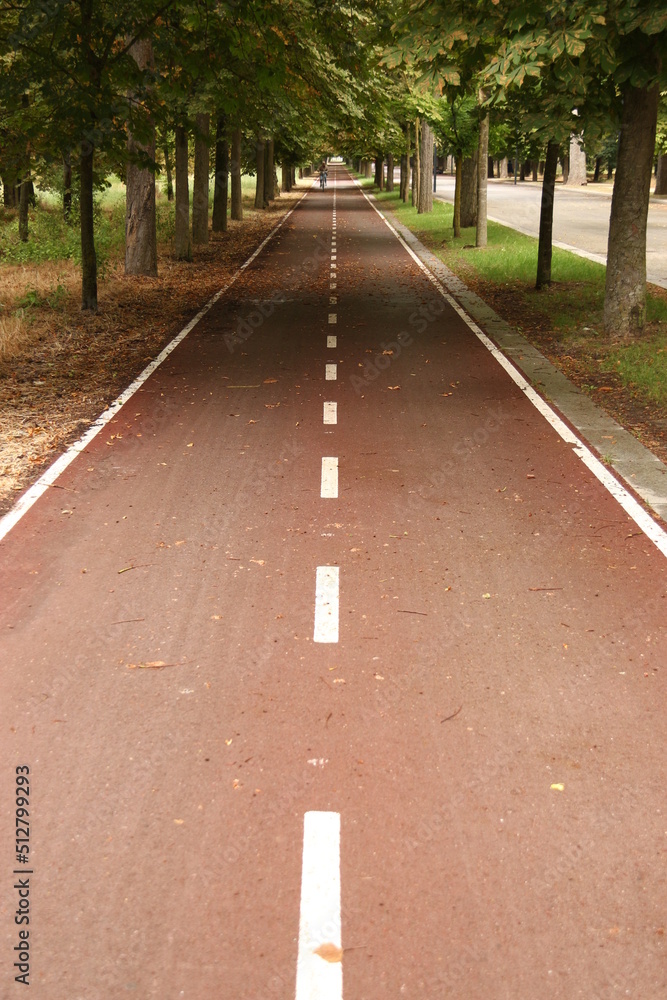 Obraz premium Carril bici