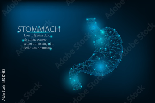 polygonal light stomach  close up. Organ anatomy. technology. 3d low poly wireframe isolated illustration.