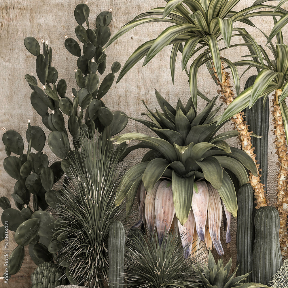 Obraz premium Collection of tropical desert plants on a white background