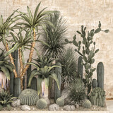  Collection of tropical desert plants on a white background