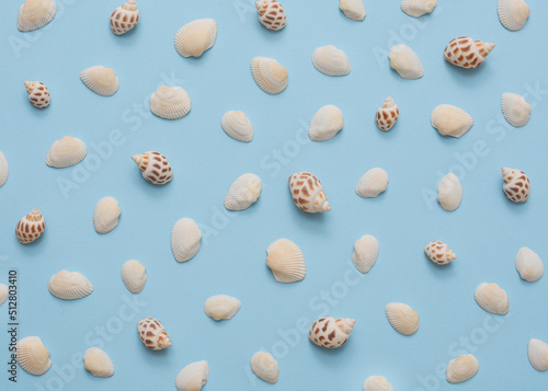 Summer minimalist pattern on a blue background with sea shells - ideal for elegant branding identities - flat lay. Tropical vacation concept.