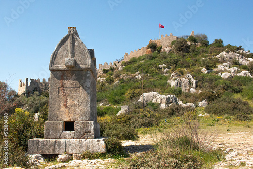 Lycian Tombs on Kekova Island on a sunny day surrounded by grass, Turkey. 