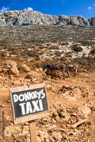 Donkey taxi in Crete island, Greece