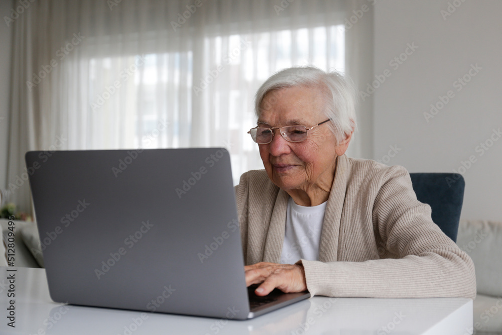 Portrait of elderly woman figuring out how to use a laptop. Older adult female learning about internet. Senior education. Digital health technology concept. Close up, copy space, background. Portrait of elderly woman figuring out how to use a laptop. Older adult female learning about internet. Senior education. Digital health technology concept. Close up, copy space, background.
