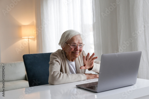 Portrait of elderly woman in eyeglasses having a video call, waving at the screen of a laptop. Seniors and technology concept. Woman in her mid 80s using a computer. Close up, copy space, background. © Evrymmnt