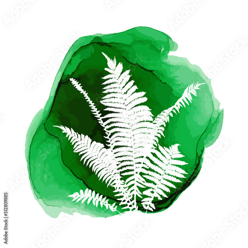 Imprint of a green fern leaves of a tree. Abstraction protection of nature. Vector illustration