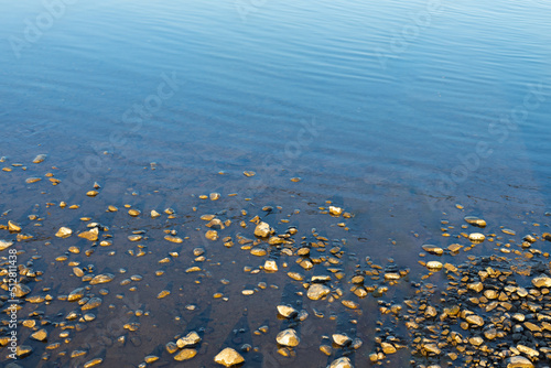 Pebble in shallow water in the sunset light. Small ripples on the surface of the water