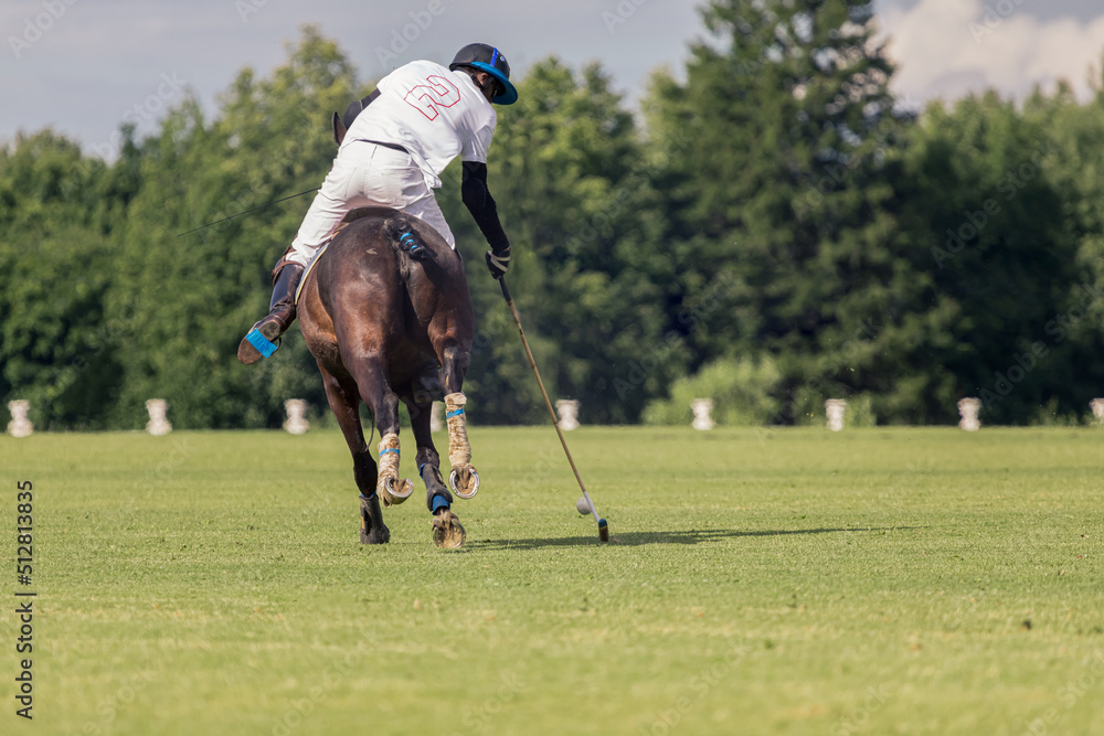Obraz premium A equestrian polo player riding a horse hits the ball. The moment of mallet impact. Grass polo, summer competition season