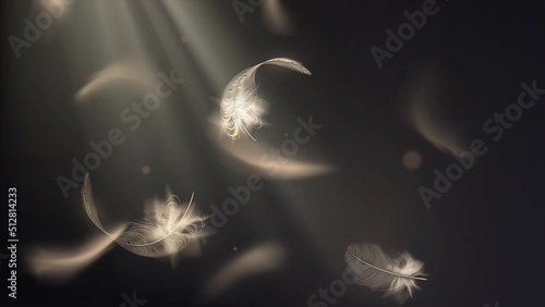 White feathers fly in the sun rays in the dark