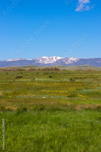 Vertical panorama of landscape at Arapaho National Wildlife Refuge in northern Colorado, with copy space