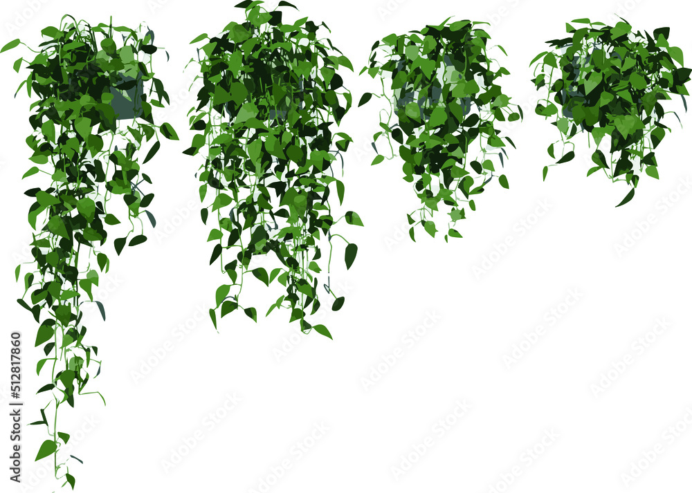Front view of Plant (Hanging Creepers Plants 1) Tree illustration vector Front view of Plant (Hanging Creepers Plants 1) Tree illustration vector