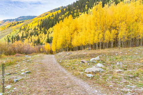 Trail throughh thhe Fall Aspens in the Sun Juan Mountains of Colorado