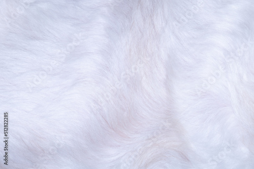 white fur texture close-up beautiful abstract feather background