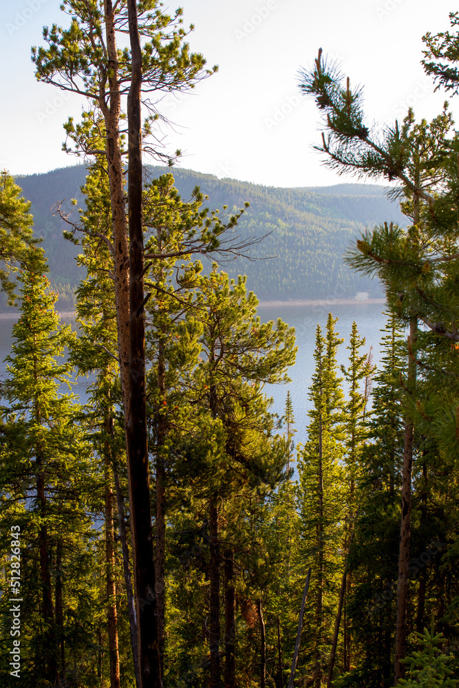 Evergreen trees, blue water, and Rocky Mountains at Turquoise Lake in Colorado Evergreen trees, blue water, and Rocky Mountains at Turquoise Lake in Colorado