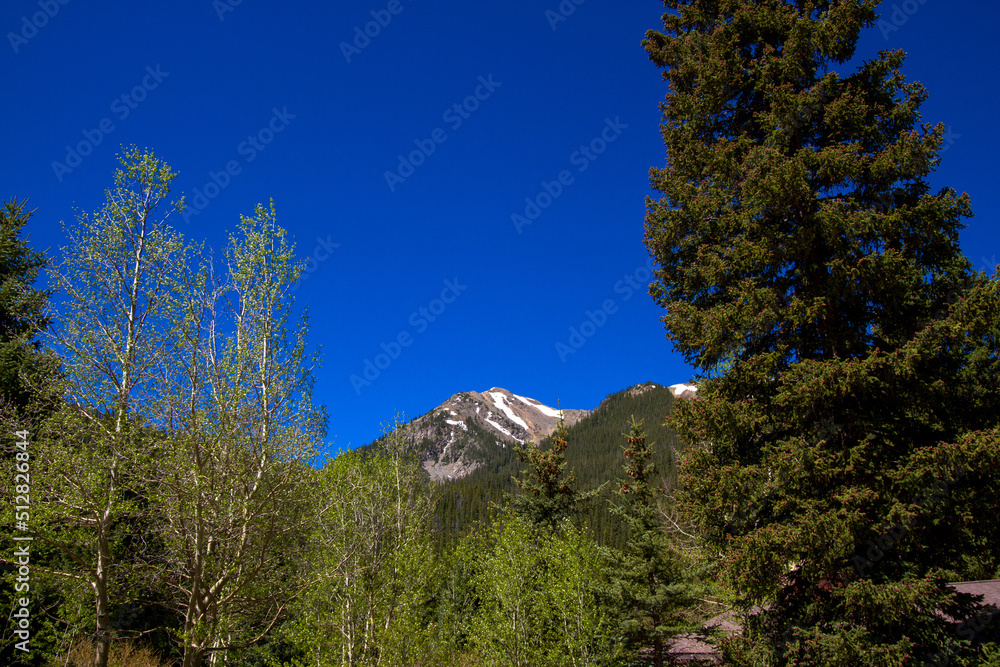 Obraz premium Colorado's Rocky Mountains in spring