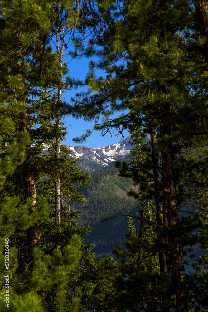 Evergreen trees, blue water, and Rocky Mountains at Turquoise Lake in Colorado Evergreen trees, blue water, and Rocky Mountains at Turquoise Lake in Colorado
