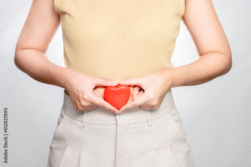 women holding heart shaped souvenir on the belly. Pregnancy about 1-2 months. Concept successful treatment IUI Intra – Uterine Insemination and ICSI. infertility Concept.. women holding heart shaped souvenir on the belly. Pregnancy about 1-2 months. Concept successful treatment IUI Intra – Uterine Insemination and ICSI. infertility Concept..