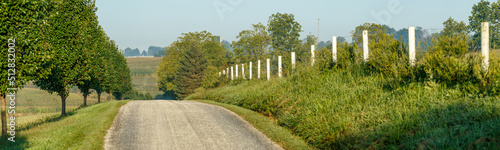 Fototapeta Naklejka Na Ścianę i Meble -  Country road with a row of trees on the left and a white fence on the right | Amish country, Ohio
