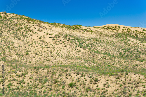 slope of a sand dune with plants blooming in spring, Sarykum dune in Dagestan photo