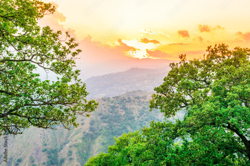 Mountain green mountain side during sunset or sunrise. Natural spring or summer season landscape with trees, branches and cloudy sunset