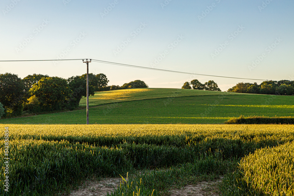 Looking out over farmland in Sussex on a sunny summers evening