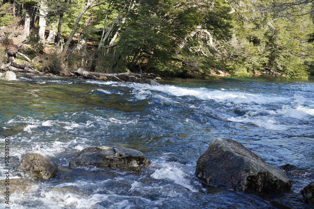 Lago, paisaje, zorros, arboles, pájaros, montañas, lago. neblina