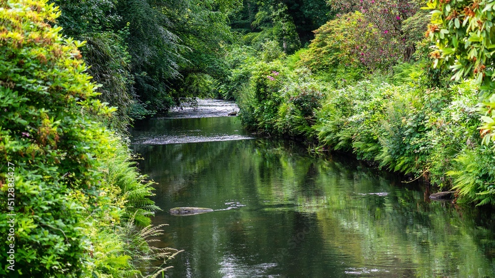The trees look at each other in the water The trees look at each other in the water