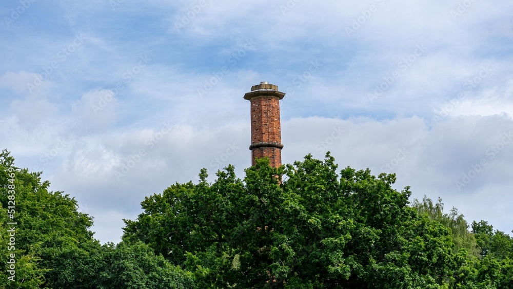 Chimney behind a wall of trees
