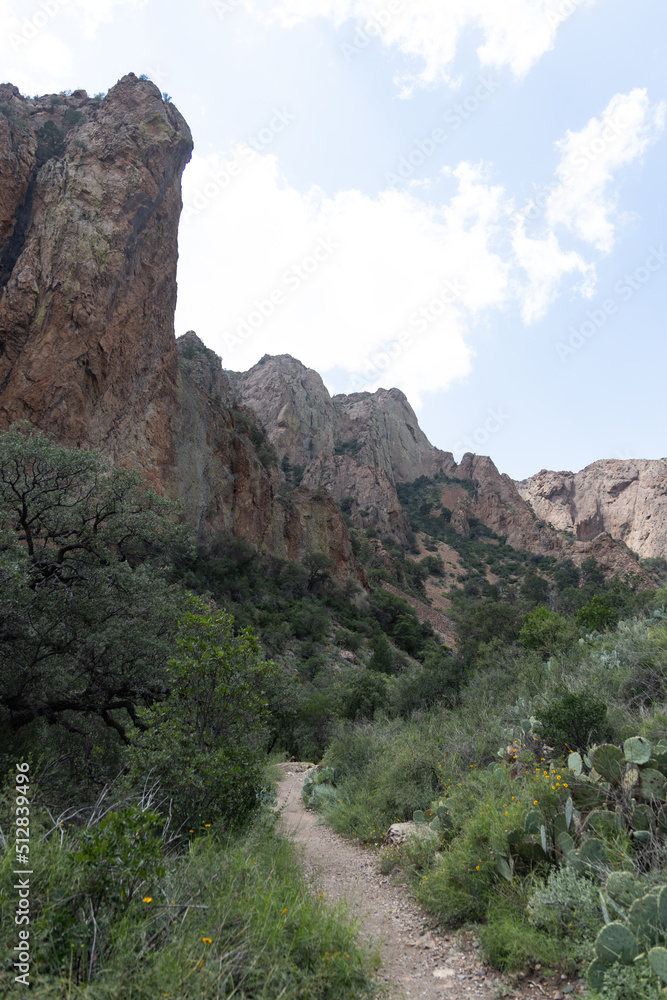 landscape in the mountains