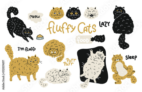 fat domestic fluffy lazy cats, vector illustration, color set in different poses, hand drawing