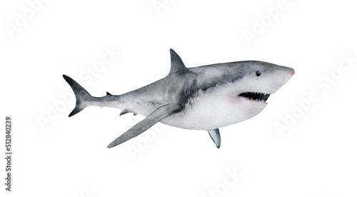 Hand-drawn watercolor great white shark illustration isolated on white background. Underwater ocean creature. Marine animals collection