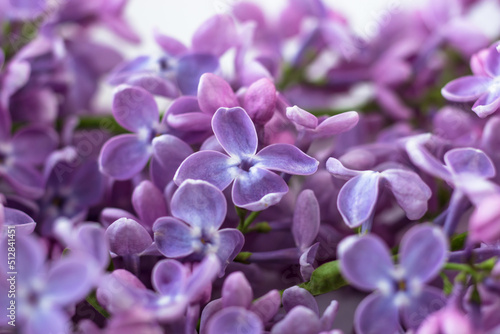 Postcard with purple lilacs. Beautiful spring flowers © Анастасія Мурко