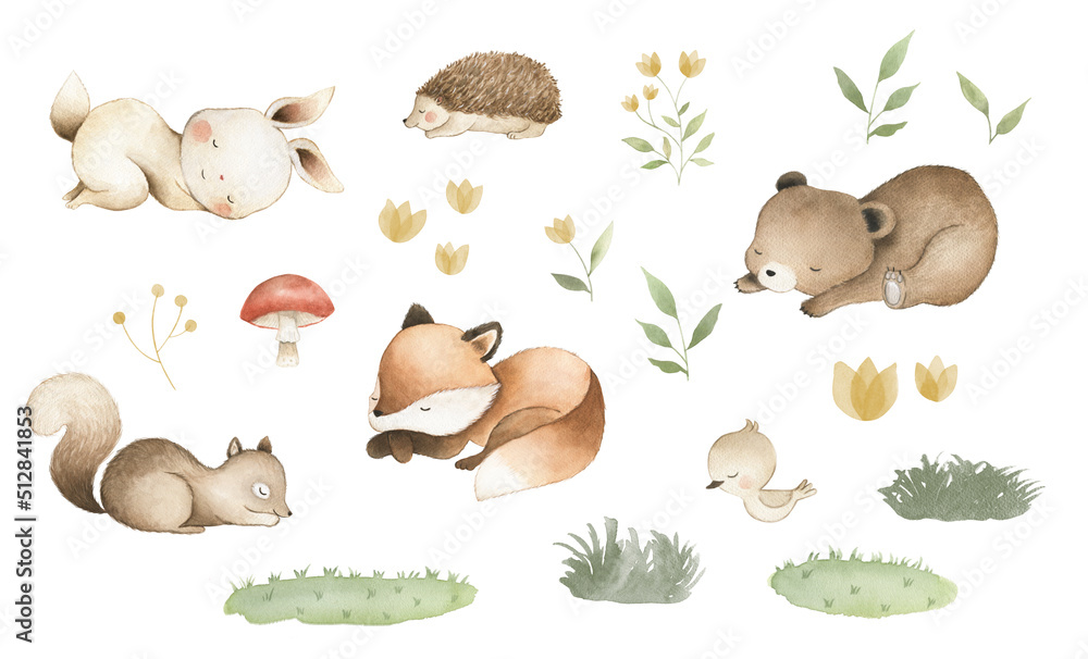 Woodland baby animals watercolor nursery cute illustration bunny bear ...