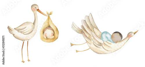 Photos Baby watercolor illustration stork newborn girl boy