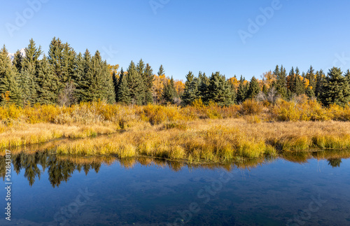 Scenic Reflection Landscape in Grand Teton National Park Wyoming in Autumn