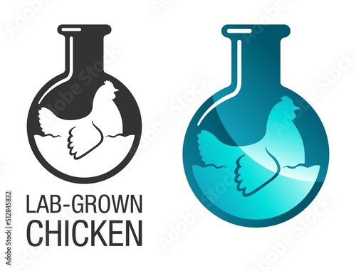 Lab-grown chicken meat - cultured food made in lab