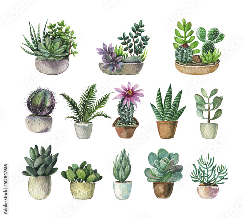 Set of different succulents in pots. Watercolor illustration isolated on white.