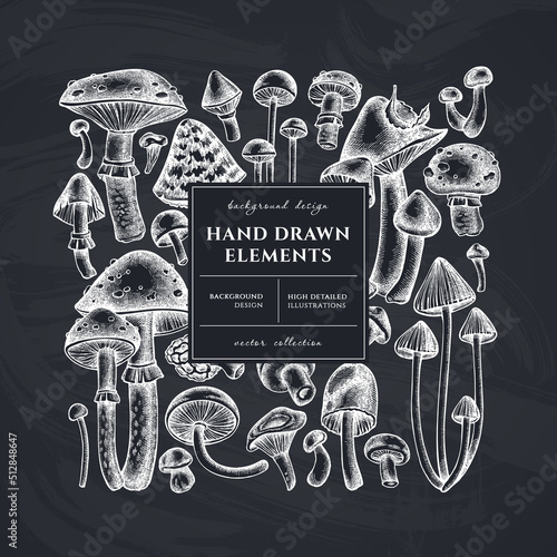 Forest mushrooms square card or invitation design. Frame design with mushrooms, fly agaric, blewit, etc.
