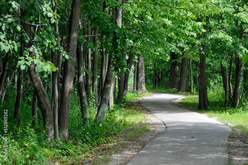 Path Through The Woods