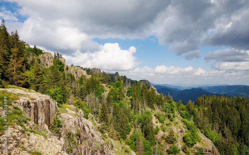 Mountain range of Rhodope Mountains covered with vegetation against the backdrop of valley covered with spruce forests Mountain range of Rhodope Mountains covered with vegetation against the backdrop of valley covered with spruce forests